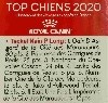  - Top Chiens 2020