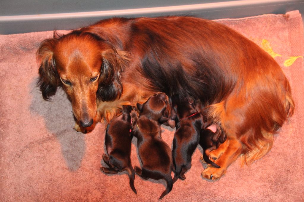 Les Photos des Bébés sont en ligne